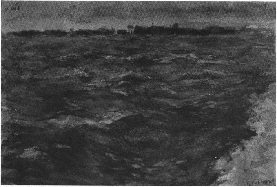 Река Обь. 1895